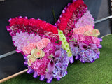 Butterfly Arrangement