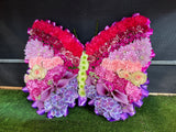 Butterfly Arrangement